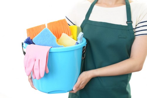 Carpet cleaner preparing safe equipment and workspace