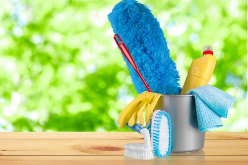 Carpet cleaning quote discussion for a home in SW11