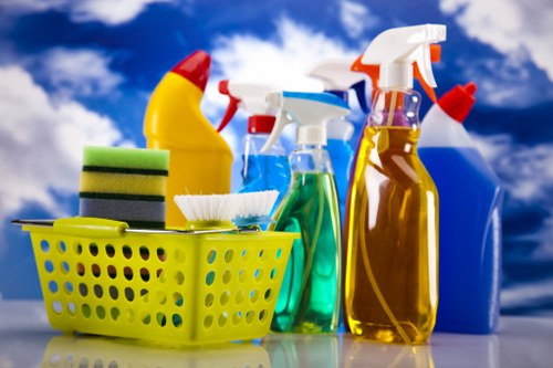 Professional stain cleaning equipment used in an SW11 property