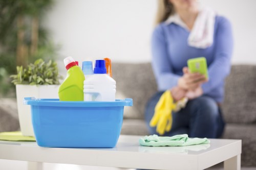 Pet stain removal process in a Battersea flat interior