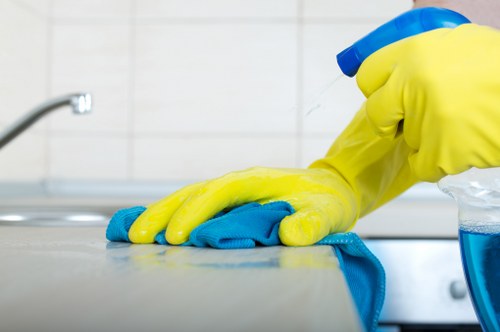House cleaning visit for a flat near Clapham Junction in SW11