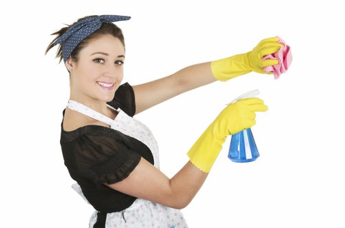 Thorough cleaning for a Battersea property before move in