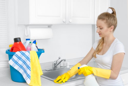 Deep carpet cleaning equipment used in a SW11 property